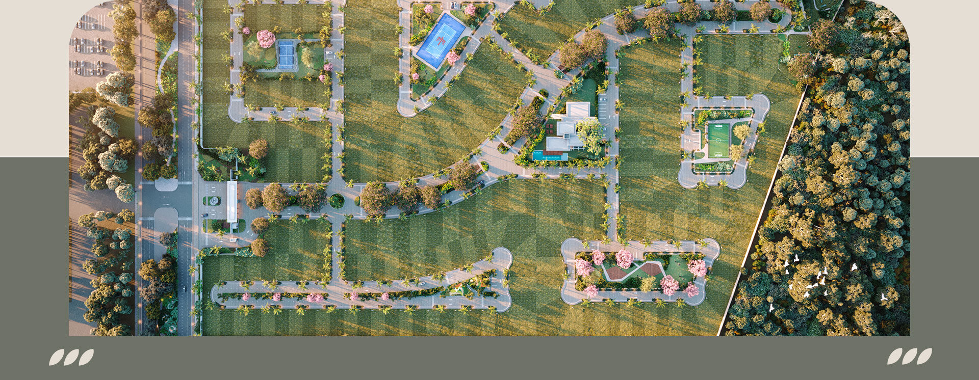 PARAMO_DESCANSO VISUAL_02_MOV PARAMO_DESCANSO VISUAL_02_MOV